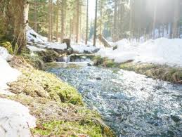 Thuringer Wald Wanderung Marchenhaft Und Geheimnisvoll Urlaub In Deutschland Thuringer Wald Kayakfahren