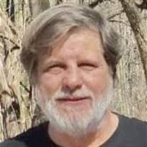 Marie Rollins's Instagram, Twitter & Facebook