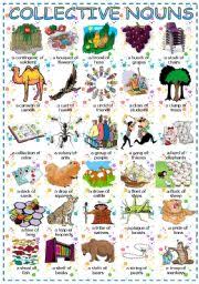 English Exercises Collective Nouns Animals