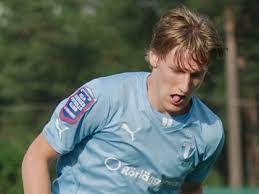 Transferts, salaire, palmares, statistiques en club et en sélection nationale. Emil Forsberg S Neue Frisur June 2021