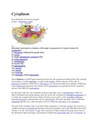 Check spelling or type a new query. Biology