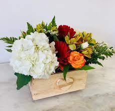 Skatiet 9 sociālās lapas, ieskaitot facebook un twitter, stundas, tālrunis, epasts, tīmekļa vietnes un sīkāku yosvi flowers darbojas jaunlaulāto veikali, dāvanas, kartiņas un pušu piegādes, floristi aktivitātēs. Garden Box In Miami Fl Yosvi