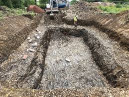 The environment agency commissioned a new app to track japanese knotweed. Commercial Japanese Knotweed Removal Cell Burial South Molton North Devon