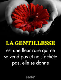 Epingle Sur Citations