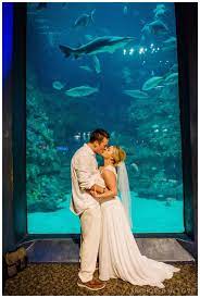 Jennifer Alex S Fort Fisher Aquarium Wedding Highlights Aquarium Wedding Wedding Highlights Wedding Photography And Videography