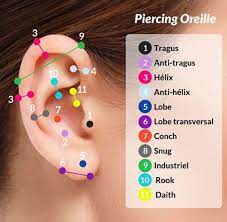 Tipos De Piercingsna Orelha Ear Piercings Chart Types Of Ear Piercings Cool Ear Piercings