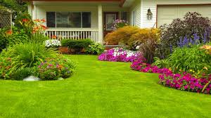 Find local 818 levelling experts near you. Garden Near Me Bigbasket Lifestyle Blog