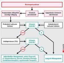 Gastritis and gastropathy may be chronic, developing slowly and lasting a long time, or acute, developing suddenly and lasting a short time. Reizmagen Und Reizdarm Belastende Syndrome Pz Pharmazeutische Zeitung