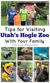 Tips For Visiting Utah S Hogle Zoo With Your Family Visit Utah Family Vacations Usa Utah Vacation