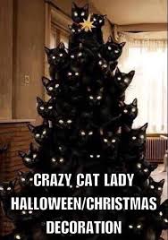 Funny Pictures Of The Day 34 Pics Christmas Cat Memes Crazy Cat Lady Halloween Christmas Humor