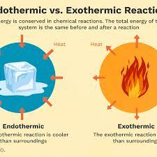 Endothermic And Exothermic Chemical Reactions