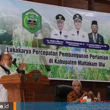 Racun ini dibuat dengan racikan dari campuran berbagai bahan. 9yzgyb8l45fs1m