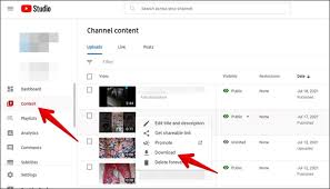 Click the video's location in the bar at top of your program's window, and copy it. 4 Ways To Download Youtube Shorts Techwiser