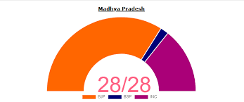 Madhya Pradesh Bypolls Bjp S Narayan Singh Patel Wins Mandhata Seat Elections News