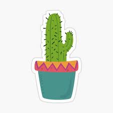 I received this tall cactus, which had fallen off a window sill and broken in half. Cactus Svg Gifts Merchandise Redbubble