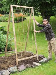 If you are growing compact bush cucumbers, a trellis is not necessary. 15 Easy Diy Cucumber Trellis Ideas A Piece Of Rainbow