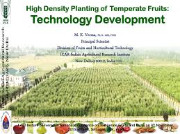 Check spelling or type a new query. Pdf High Density Planting Of Temperate Fruits Technology Development