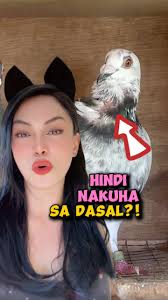 IBON ni idol EDWIN MULI, Tinanghal na Champion of Champions!