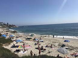Windansea Beach La Jolla Beach Beach Ocean Scenes