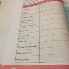 Telapak kaki manusia memiliki struktur kulit yang cukup dibandingkan anggota tubuh yang lain. Teman Teman Tolong Di Jawab Ya No 5 S D No 11 Beserta Fungsinya Brainly Co Id