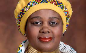 National assembly minister of tourism party: Who Is The New Minister Of Tourism In South Africa Nkhensani Kubayi Nguban