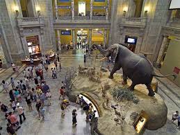 Pin By Sara Plante On Nyc Explained New York City Tourism Natural History Museum London New York Vacation