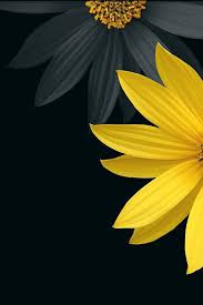Freeios7 Black Flower Parallax Hd Iphone Ipad Wallpaper Sunflower Wallpaper Flower Wallpaper Yellow Wallpaper