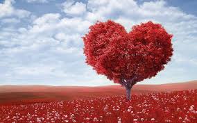 Love wallpaper hd images which are of 1080p are available for free download from here. Loving Hearts Hd Wallpaper Love Backgrounds With Quotes Messages