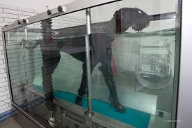 Hunde mit arthrose leiden an einer erkrankung der gelenke. Arthrose Beim Hund Gelenkverschleiss Tiermedizinportal