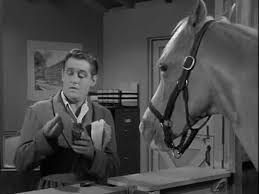 A horse is a horse of course of course lyrics. Mister Ed Excerpt Youtube