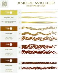 I tipi di capelli sono stati catalogati in ben 12 categorie: Riconosci Il Tuo Capello Con Il Metodo Andre Walker Divina Blk Prodotti Cosmetici Per Capelli Ricci Super Ricci E Afro