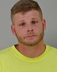 Suspect allegedly snatches woman's dog and slashes her tires