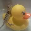 In today's video i decided to share with you how to give a baby bearded dragon a bath and keep them hydrated. Https Encrypted Tbn0 Gstatic Com Images Q Tbn And9gcthxi7fp4eoeijpbrjqvpxaov37w3utgwy0hwebuvboahdkp75t Usqp Cau