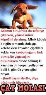 Zeka Diye Buna Denir Zeka Diye Buna Denir Safari Afrika Kelebek Fikra Caymolasi Kelebek Cicek Kopek Leopar Komik Fikralar Hayat Dersleri Afrika
