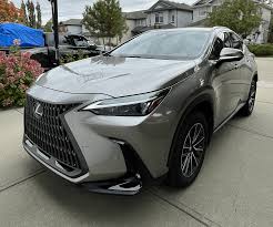 Image result for Atomic Silver 2025 LZ