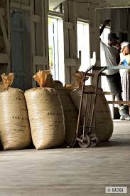 Sacs De Feves De Cacao Prets A Etre Exportes Cocoa Beans Bags Ready To Export C Kaoka Sao Tome Cacau