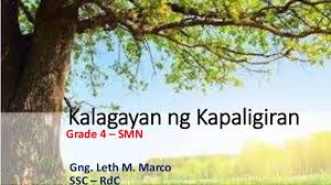 Pagkasira Ng Kalikasan