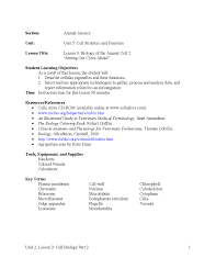 Cells alive animal cell worksheet key. Worksheet With Answers On Cell Organelle Docsity