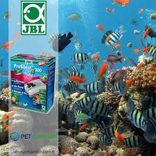 Jbl Prosilent A200 Hava Motoru 50 300 L Kapasiteli Tatli Su Ve Deniz Suyu Akvaryumlari Icin Hava Pompasi Tatli Su Akvaryum