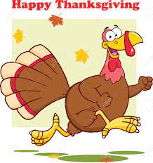 May your turkey plump, may. Happy Thanksgiving Gruss Mit Der Turkei Vogel Lauf Illustration Isoliert Auf Weissem Lizenzfrei Nutzbare Vektorgrafiken Clip Arts Illustrationen Image 23840189