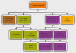 Explicit Company Employee Structure Chart Xerox