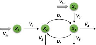 I'm going to show you some brilliant ideas on how to make plant cell models with four types of different materials that you're actually familiar with. Mathematical Models Of Lignin Biosynthesis Biotechnology For Biofuels Full Text