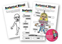 Anatomical Bitmoji Fun Project For Learning Body Planes And Directional Terms Fun Projects Anatomical Learning