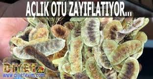 Aclik Otu Zayiflatir Mi Yazisinda Aclik Otu Zayiflatma Yontemi Faydalari Cilde Faydalari Hakkinda Bilgiler Verildi Otlar Bitki Dogal