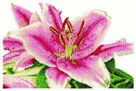 Dmc Stargazer Lily 16 Count Cross Stitch Kit Multi Colour