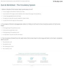 Quiz Worksheet The Circulatory System Study Com