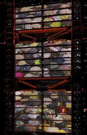 Prominent multinational banks represented in hong kong are Andreas Gursky Werke Auswahl Hong Kong Shanghai Bank Ii