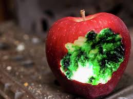 Fruit of the poisonous tree by j.r. Beware Poison In Poison Out The Phone Tree Bible Study Group