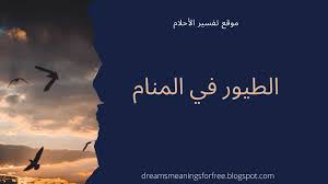 تفسير الطيور في المنام لابن سيرين