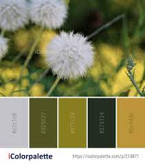 Pin On Colors 22